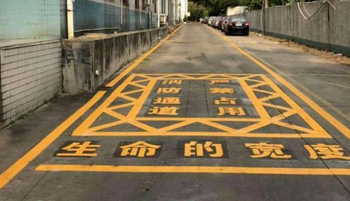 司機車內猝死仍被貼條 惋惜的是生命,不解的是執法程序