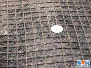 葫蘆島 遼寧財(cái)貿(mào)學(xué)院易登網(wǎng)